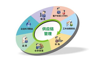 鏈服務(wù)公司 現(xiàn)代金融中介服務(wù)的新興力量