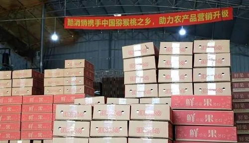 酷消銷再獲信任，金融中介服務(wù)將助力天水花牛蘋果營(yíng)銷新篇章